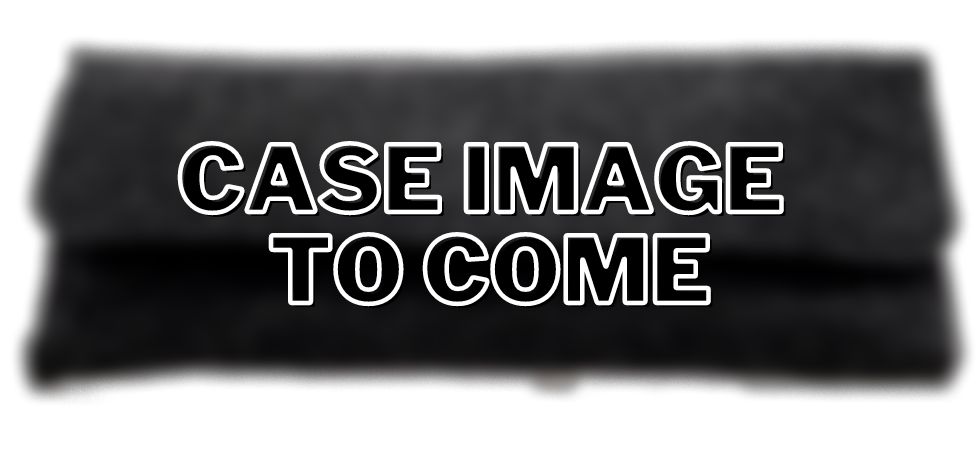 Image of Stepper Eyewear Case