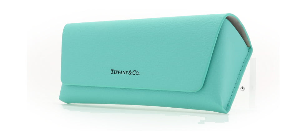 Image of Tiffany & Co. Eyewear Case