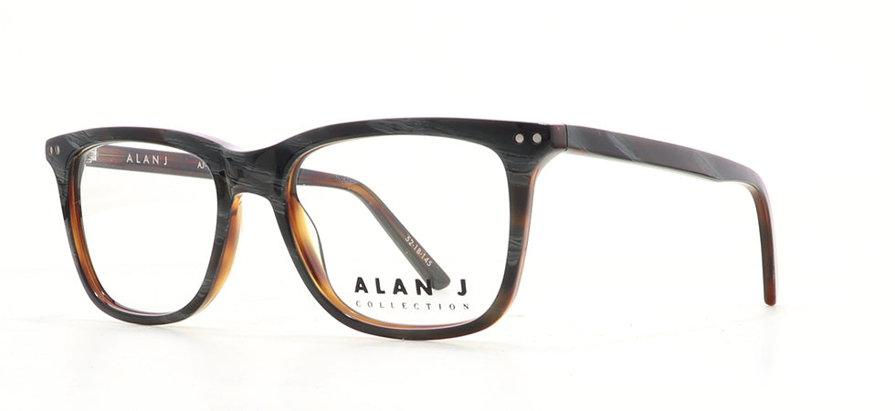 Image of Alan J Eyewear Frames