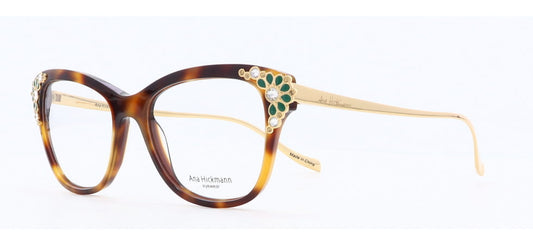 Image of Ana Hickmann Eyewear Frames