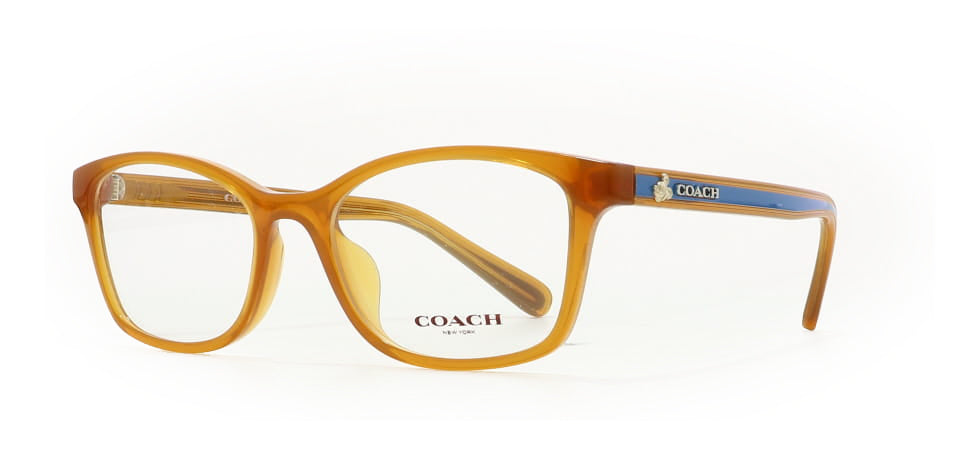 Image of Coach Eyewear Frames