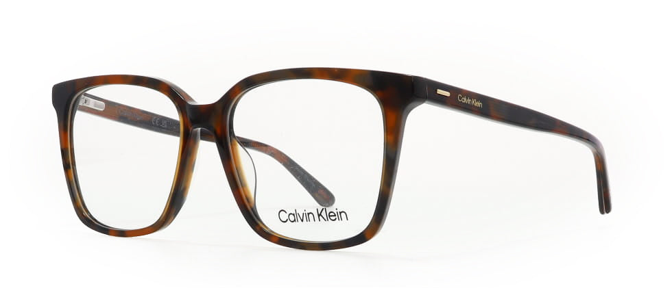 Image of Calvin Klein Eyewear Frames