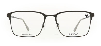 Image of Flexon Eyewear Frames