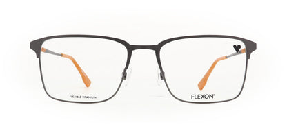 Image of Flexon Eyewear Frames