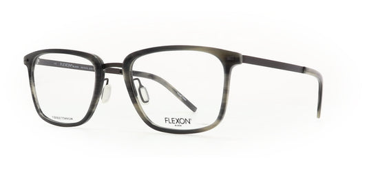 Image of Flexon Eyewear Frames