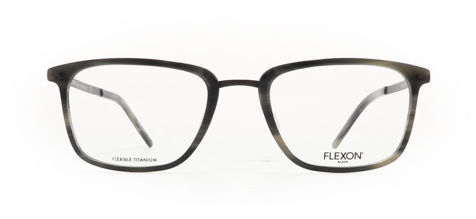 Image of Flexon Eyewear Frames