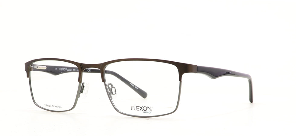 Image of Flexon Eyewear Frames