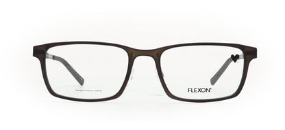Image of Flexon Eyewear Frames