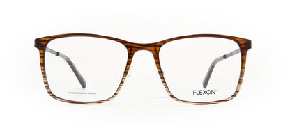 Image of Flexon Eyewear Frames