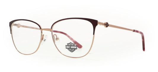 Image of Harley Davidson Eyewear Frames