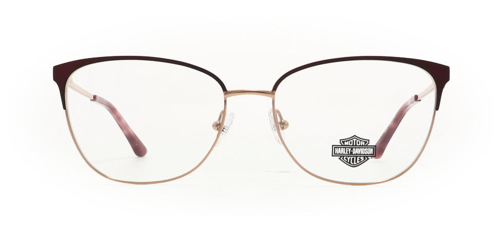 Image of Harley Davidson Eyewear Frames