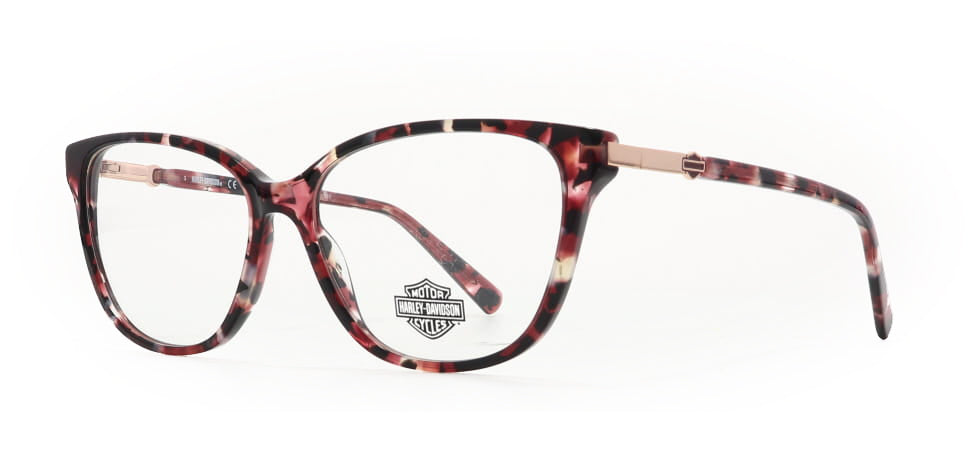 Image of Harley Davidson Eyewear Frames