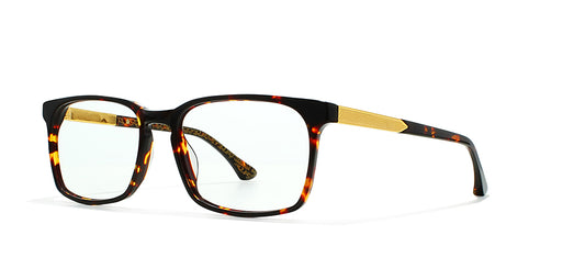 Image of Kings Of Past Eyewear Frames