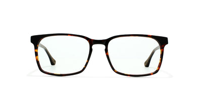 Image of Kings Of Past Eyewear Frames