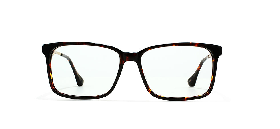 Image of Kings Of Past Eyewear Frames