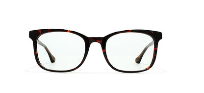Image of Kings Of Past Eyewear Frames