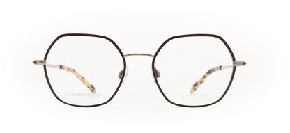 Image of Nifties Eyewear Frames