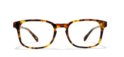 Image of Not Sweaters Eyewear Frames