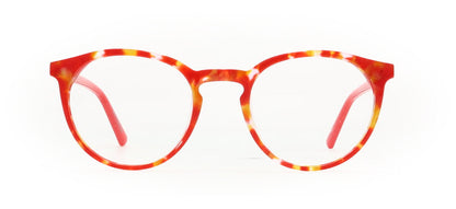 Image of Pro Design Eyewear Frames