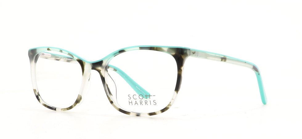 Image of Scott Harris Eyewear Frames