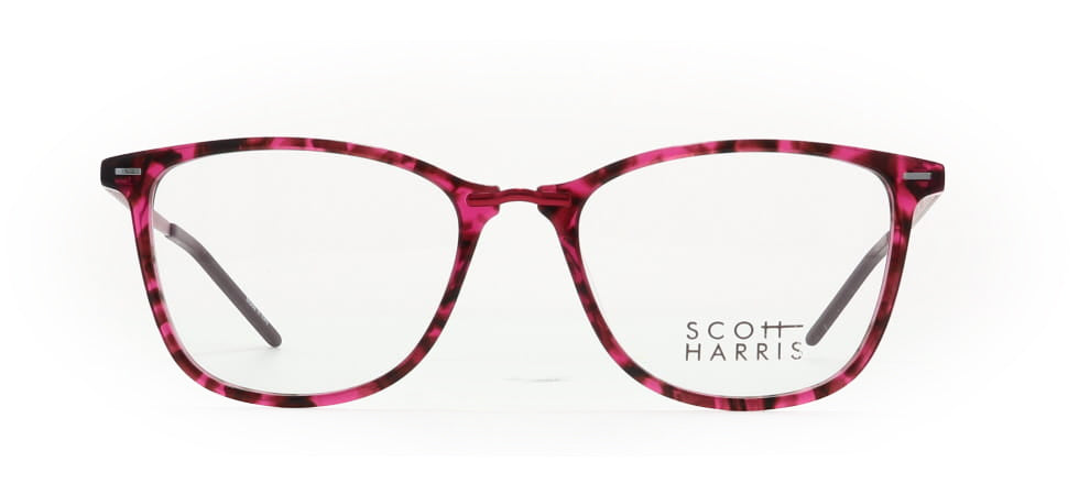 Image of Scott Harris Eyewear Frames