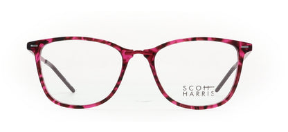 Image of Scott Harris Eyewear Frames