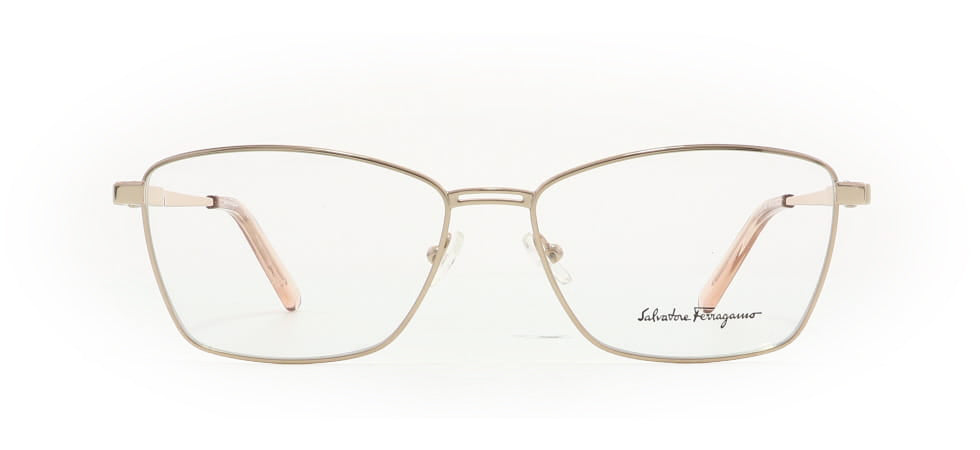 Image of Salvatore Ferragamo Eyewear Frames