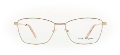 Image of Salvatore Ferragamo Eyewear Frames
