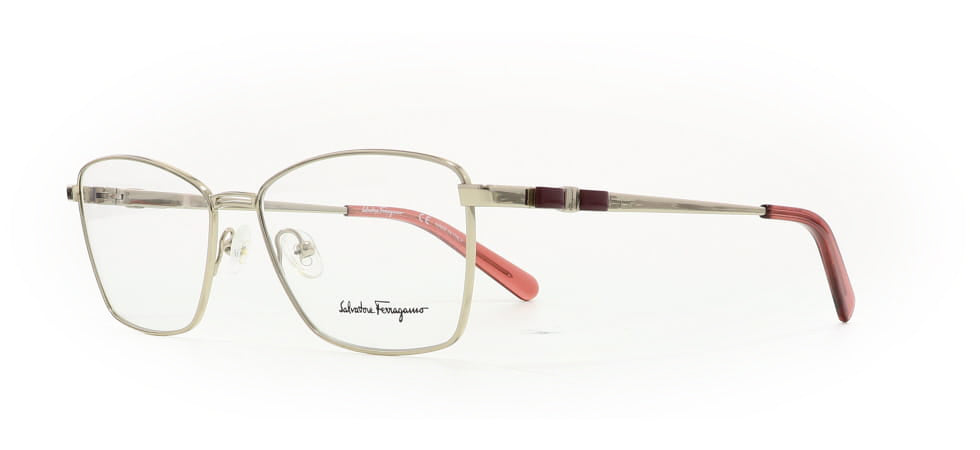 Image of Salvatore Ferragamo Eyewear Frames
