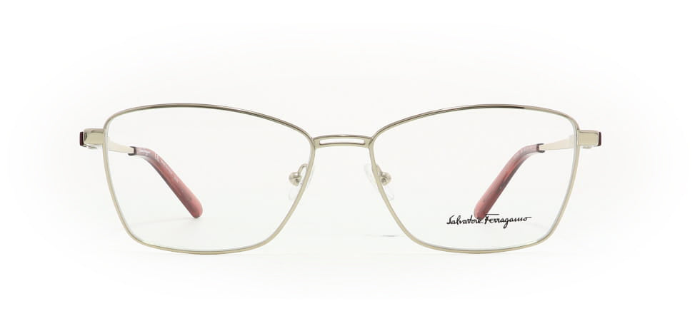 Image of Salvatore Ferragamo Eyewear Frames