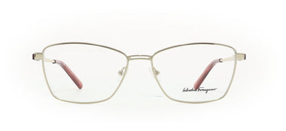 Image of Salvatore Ferragamo Eyewear Frames