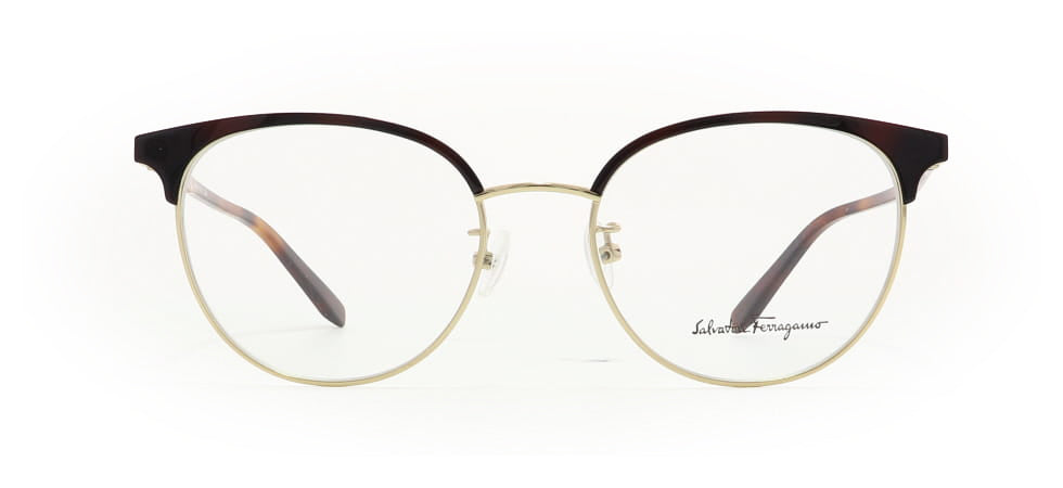 Image of Salvatore Ferragamo Eyewear Frames