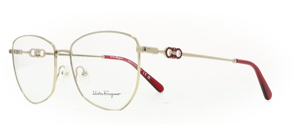 Image of Salvatore Ferragamo Eyewear Frames
