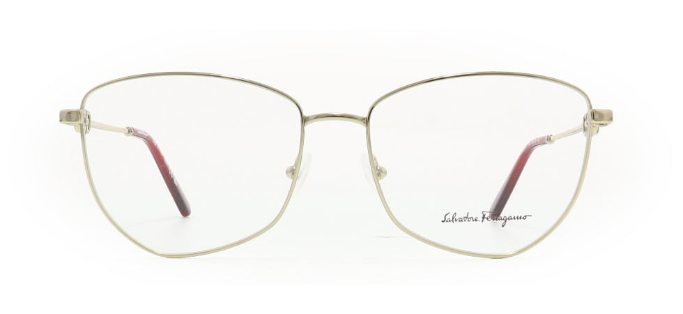 Image of Salvatore Ferragamo Eyewear Frames