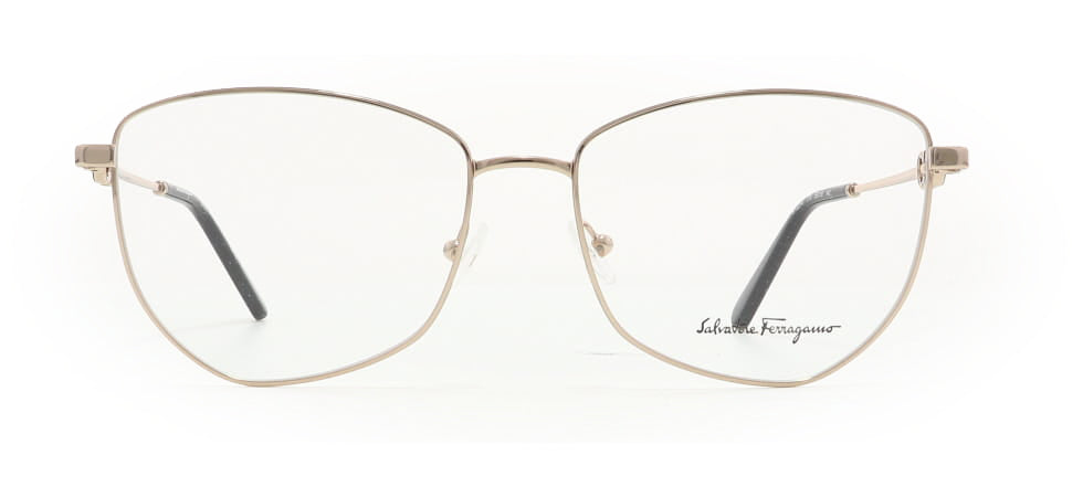 Image of Salvatore Ferragamo Eyewear Frames