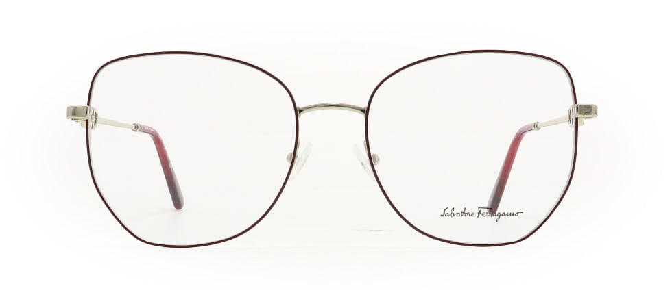 Image of Salvatore Ferragamo Eyewear Frames