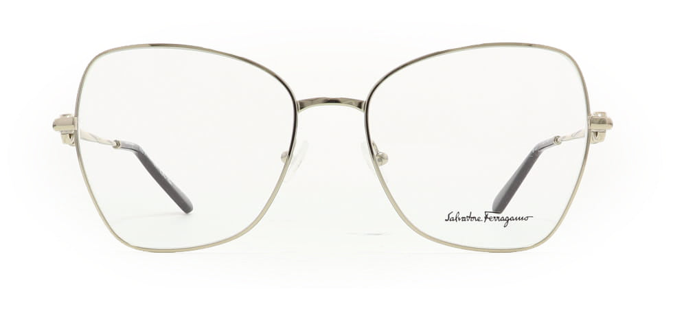 Image of Salvatore Ferragamo Eyewear Frames