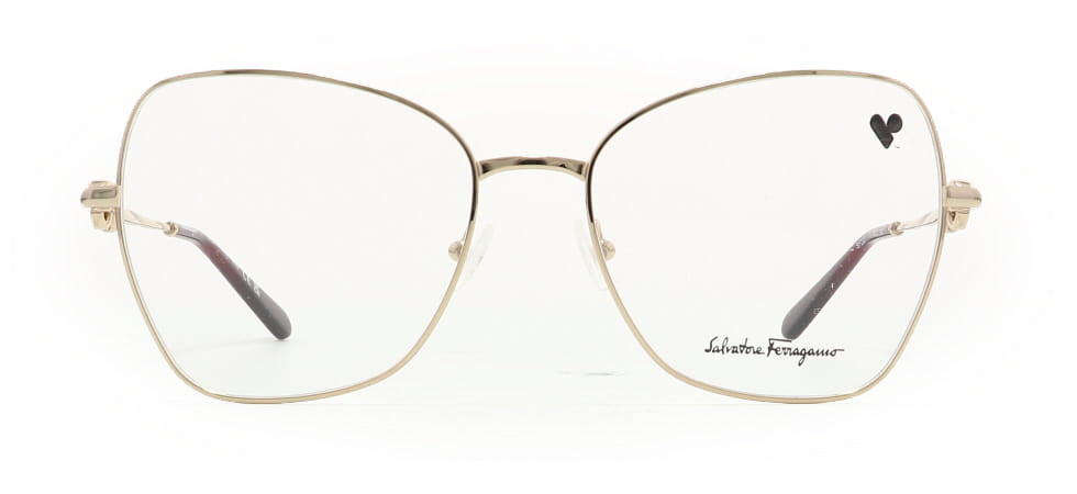 Image of Salvatore Ferragamo Eyewear Frames