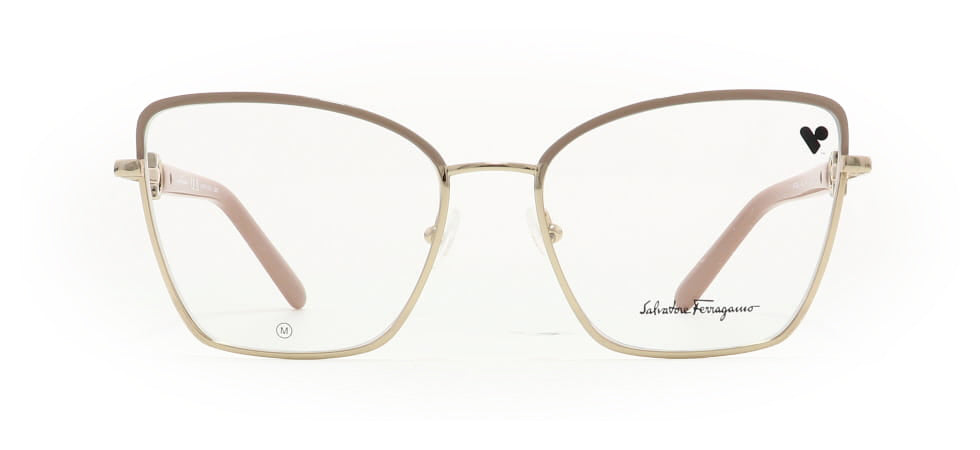 Image of Salvatore Ferragamo Eyewear Frames