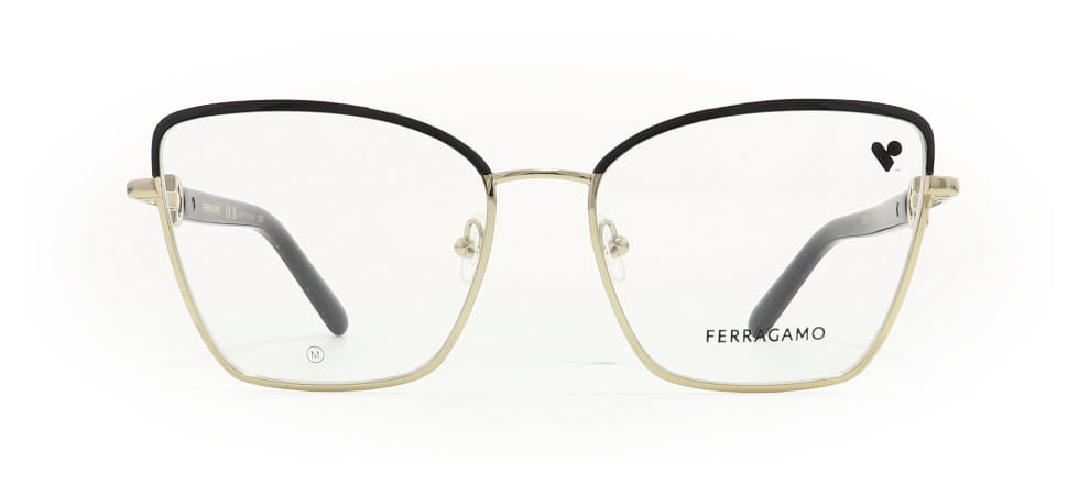 Image of Salvatore Ferragamo Eyewear Frames