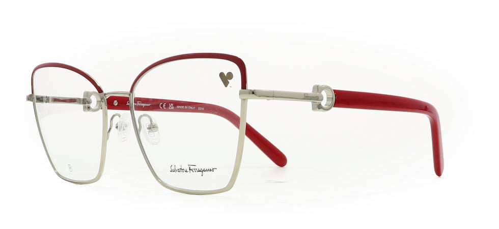 Image of Salvatore Ferragamo Eyewear Frames