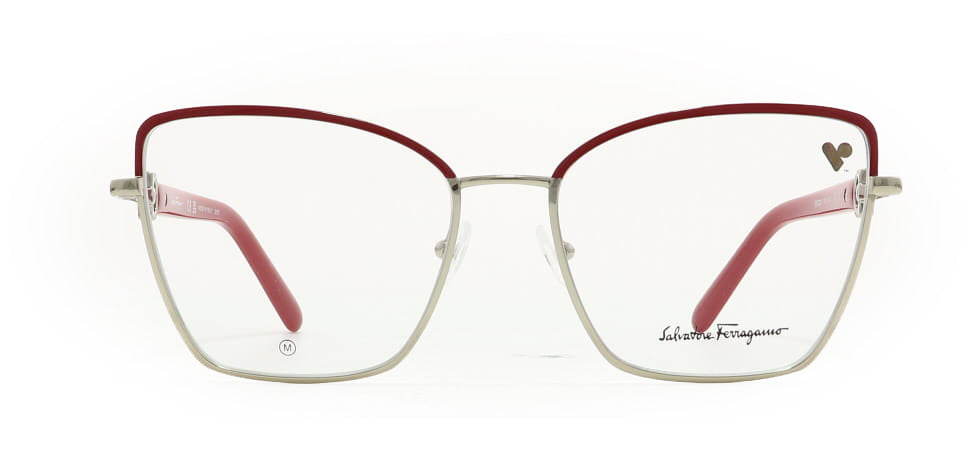 Image of Salvatore Ferragamo Eyewear Frames