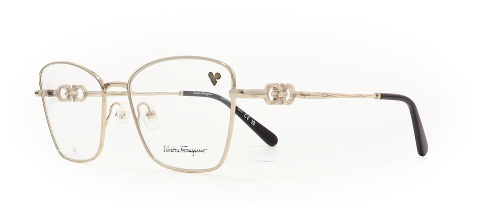 Image of Salvatore Ferragamo Eyewear Frames