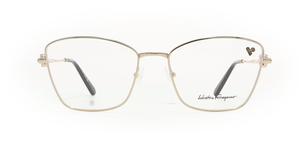 Image of Salvatore Ferragamo Eyewear Frames