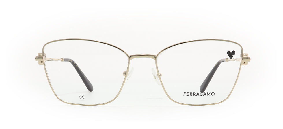 Image of Salvatore Ferragamo Eyewear Frames