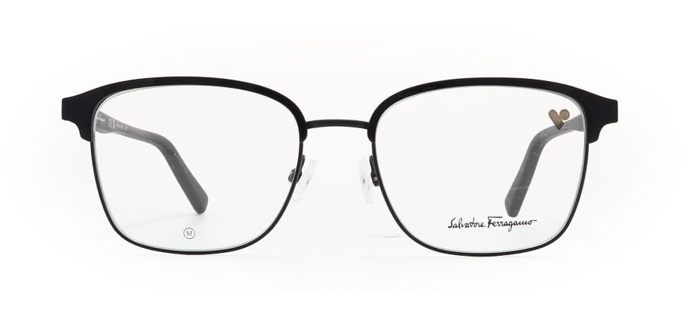 Image of Salvatore Ferragamo Eyewear Frames