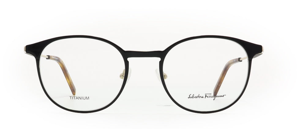 Image of Salvatore Ferragamo Eyewear Frames