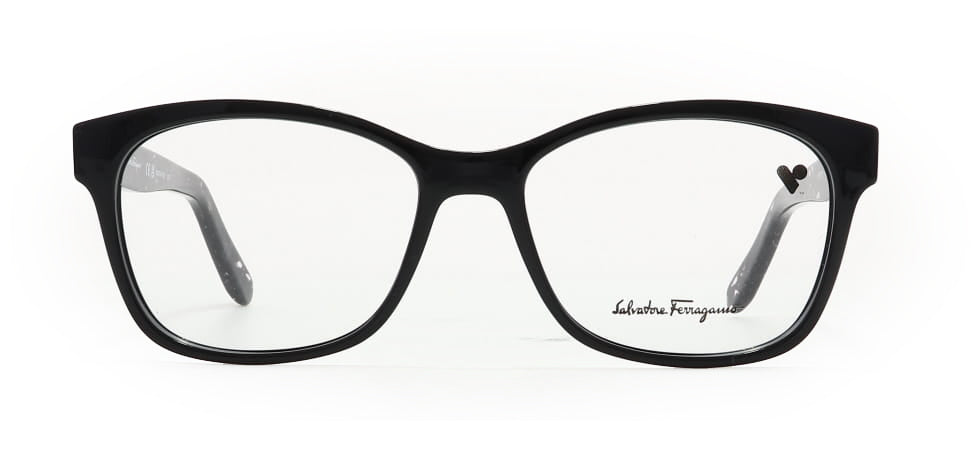 Image of Salvatore Ferragamo Eyewear Frames