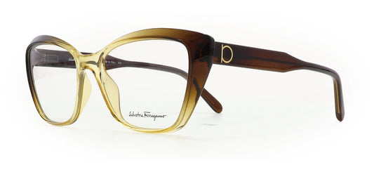 Image of Salvatore Ferragamo Eyewear Frames