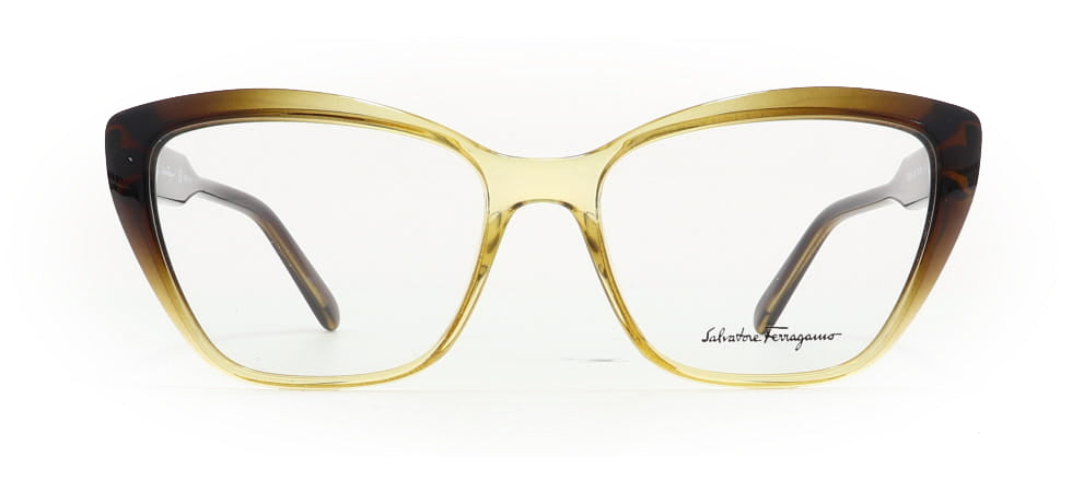 Image of Salvatore Ferragamo Eyewear Frames